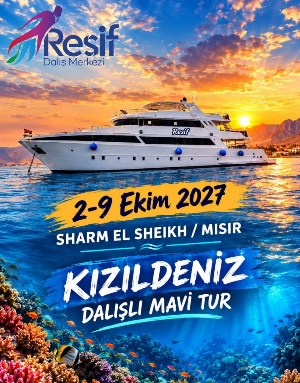 Sharm El Sheikh / Dalışlı Mavi Tur