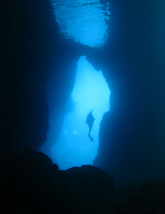 Fethiye Dalış Turu