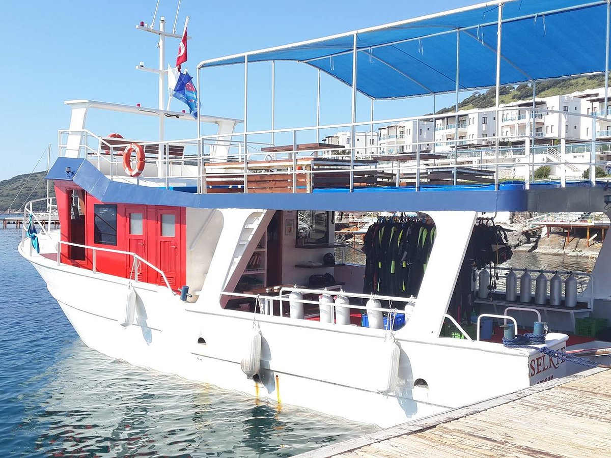 Bodrum Dalış Turu
