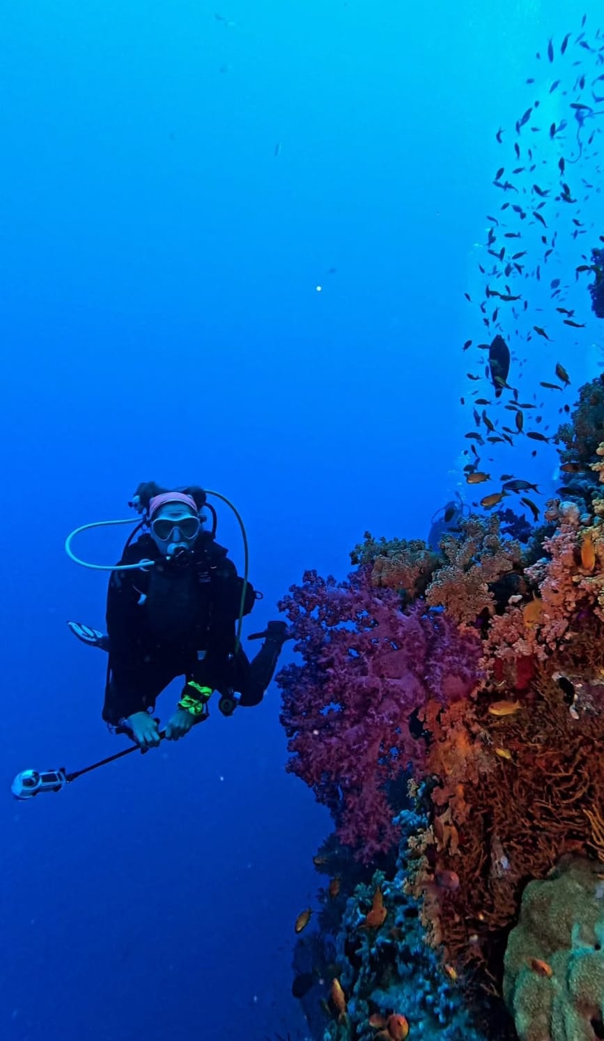 Sharm El Sheikh / Dalışlı Mavi Tur