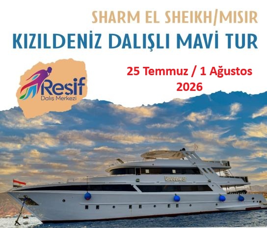 Kızıldeniz Dalışlı Mavi Tur