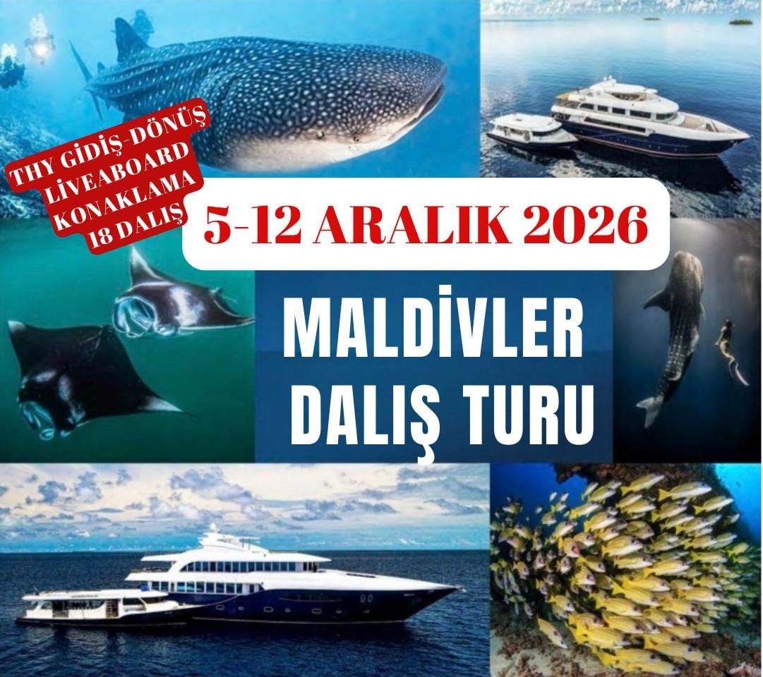 Maldivler Dalışlı Mavi Tur