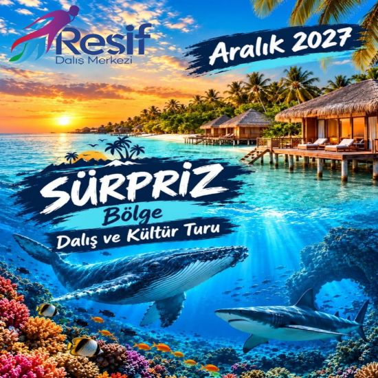 Sürpriz Bölge Dalış Turu - Ada Konaklamalı